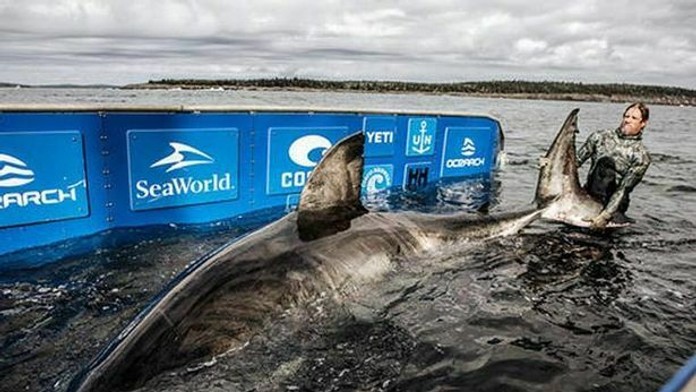 2 na 1 - Zuzana Kubovčíková Šebová 