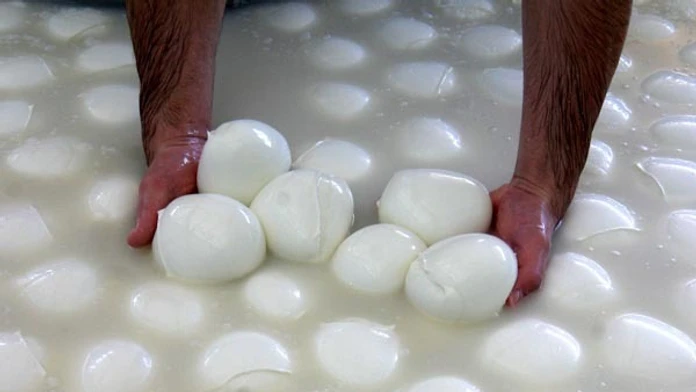 Test mozzarelly