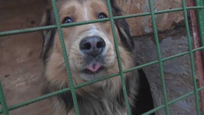 Ilustračná snímka