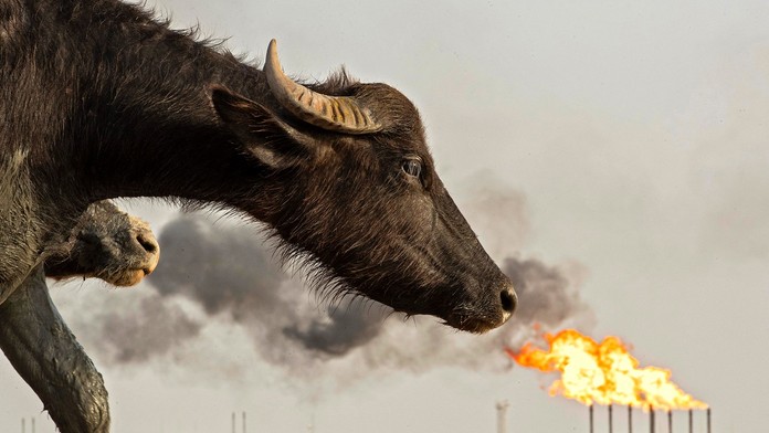 FOTOGRAFIE TÝŽDŇA: Smútiaci Trumpovci, Moldava bez Bodvy či tajomná žiara nad Austráliou