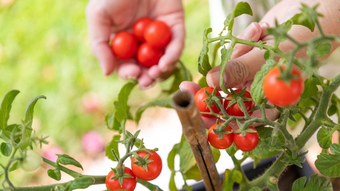 Ilustračná snímka.