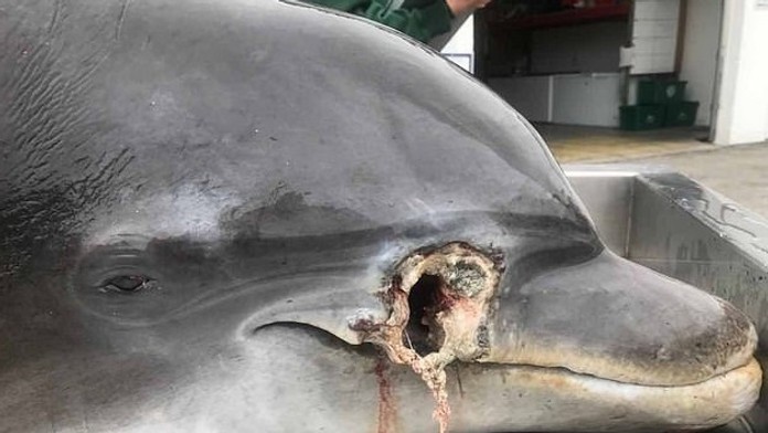 Zľava Kris Letang a Sidney Crosby z Pittsburghu oslavujú gól proti Floride.