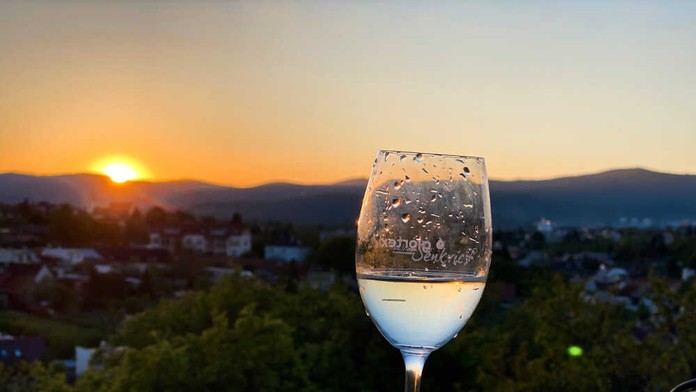 Za vínom do Šenkvíc 2025