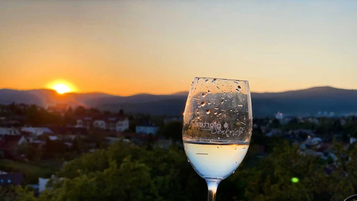 Za vínom do Šenkvíc 2025