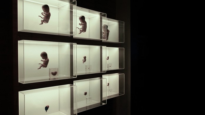 Ilustračná snímka