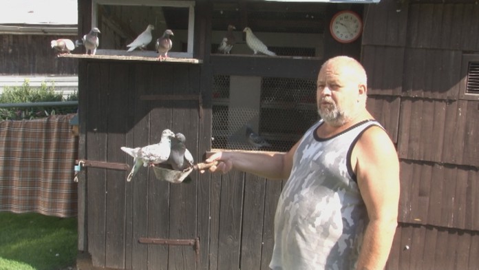 Chovateľ holubov Marián.