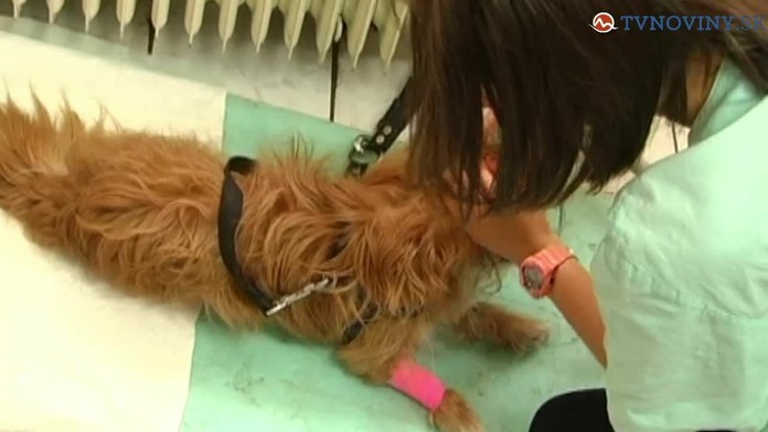 19_klieste_tvnoviny.mp4