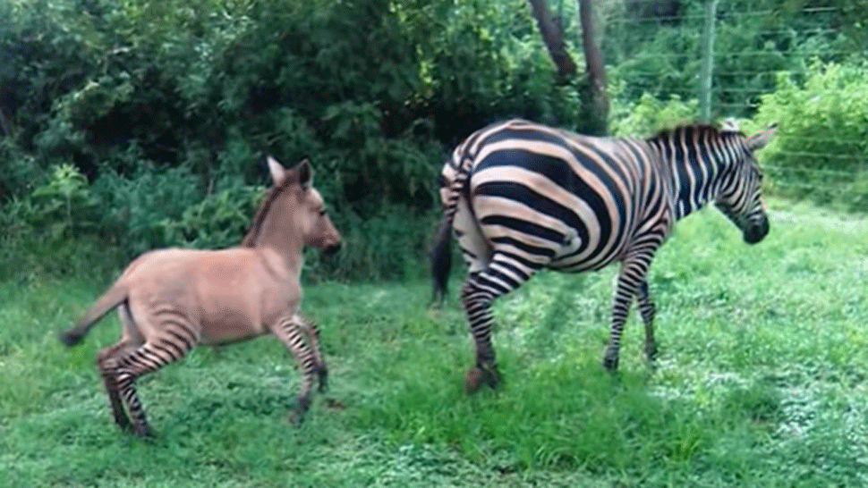 2004_Rodinne_pripady_20_04_P30_Po_18_00__12____VOYO.mp4