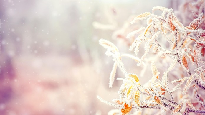 Ilustračná snímka.