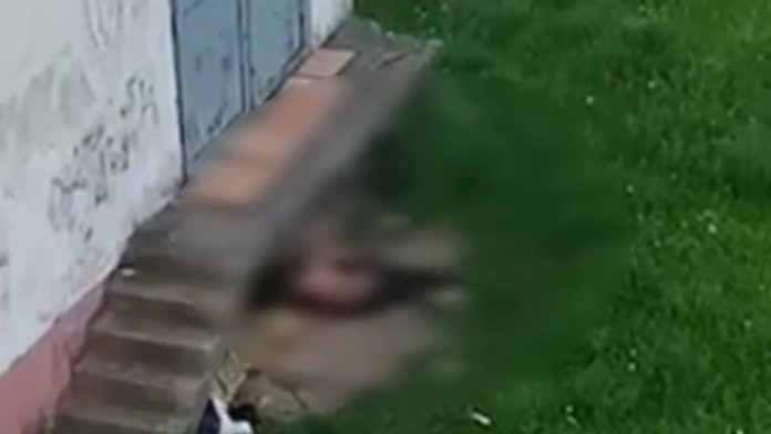 Hlohovčania boli svedkami nechutnej scény: Muž (66) sa uspokojoval na suke ovčiaka