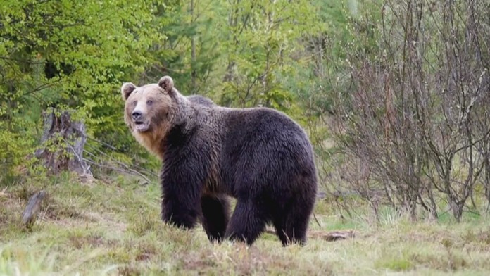 Ilustračná snímka.