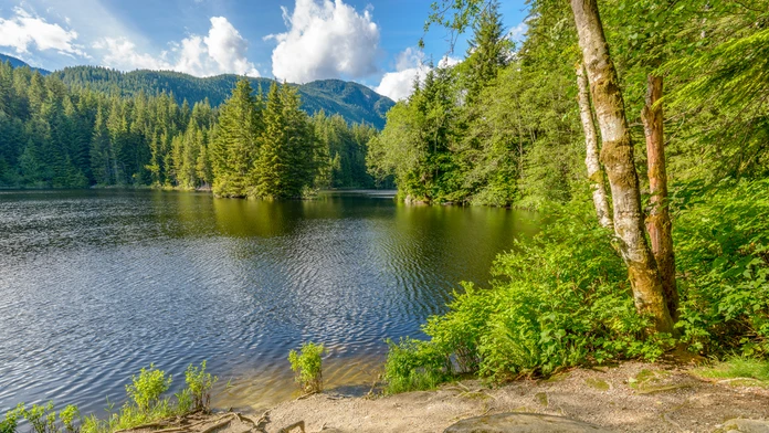 shutterstock_197697026.jpg