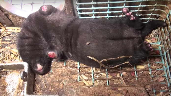 Spanilá jazda motorkárov venovaná pamiatke zosnulých hasičov.