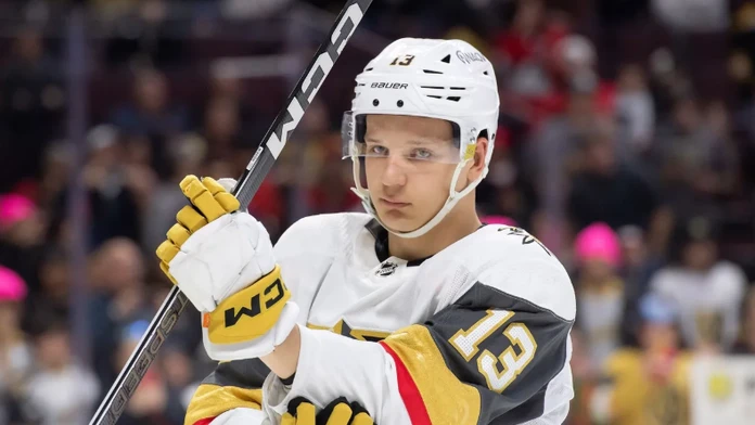 Drel a nechcel sa zmieriť s osudom. Slovák získal v NHL zmluvu, hoci skoro vôbec nehral (rozhovor)