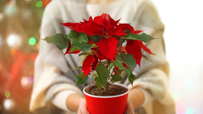 Ilustračná snímka