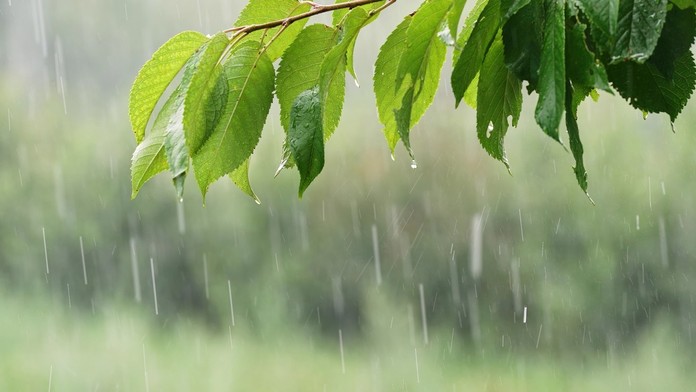 Slovensko čaká vytúžená zmena počasia. Meteorologička prezradila, či sa ešte vrátia horúčavy (rozhovor)