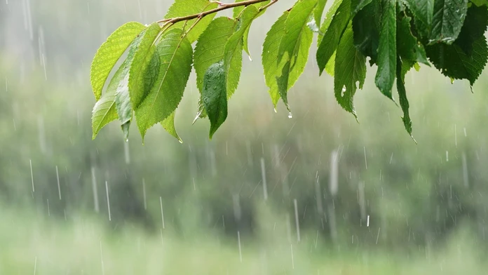 Slovensko čaká vytúžená zmena počasia. Meteorologička prezradila, či sa ešte vrátia horúčavy (rozhovor)