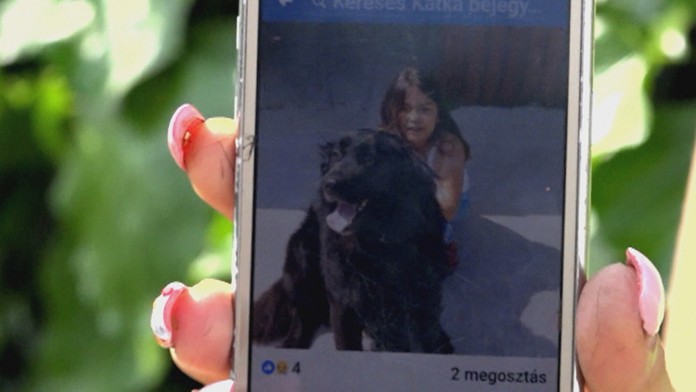 Polícia vidí prípad muža, ktorý zabil svojho psa, ako priestupok.