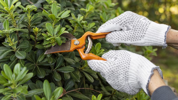 Ilustračná snímka. 