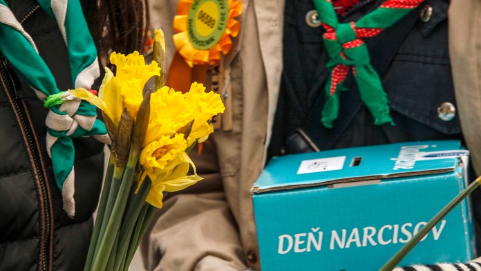 Verejnoprospešná zbierka ku Dňu narcisov, ktorú organizuje Liga proti rakovine