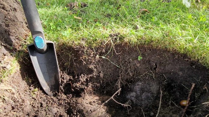 Celá rodina pátrala po stratenej náušnici. Namiesto nej našli neuveriteľnú vzácnosť