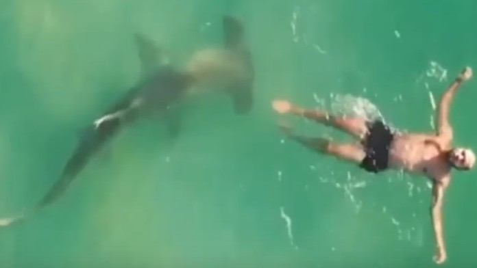 Opozičný poslanec Robert Fico (SMER-SD).