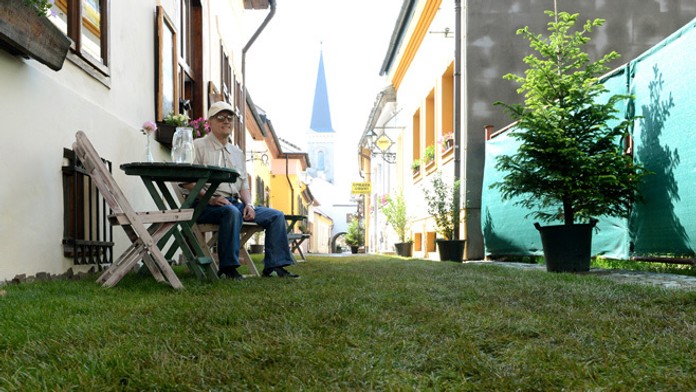 Trávnatý koberec v Košiciach