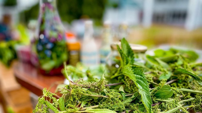 Objavte čaro varenia z divokých byliniek 