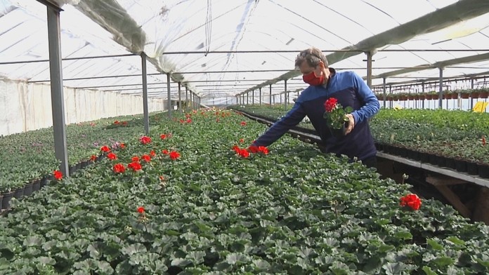 Stávkové kancelárie prispôsobujú ponuku.