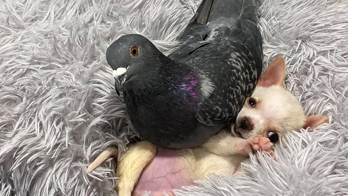 Škody po požiari sú obrovské.