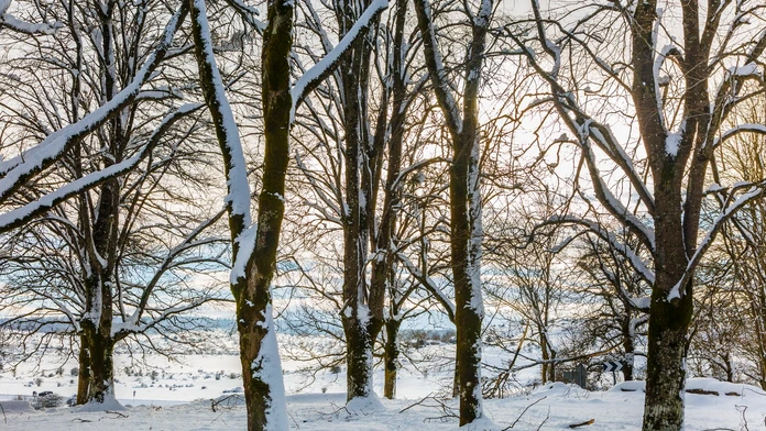 Zima bude iná, než sa čakalo. Meteorológovia zmenili predpoveď