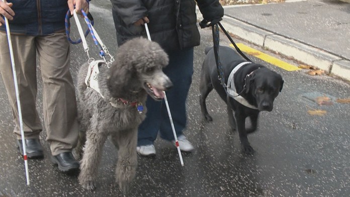 1_PLET_VLASY_tvnoviny.mp4