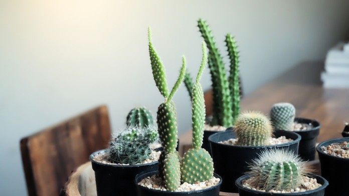 Ilustračná snímka.