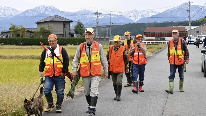 V Japonsku spustili po útoku medveďa pátraciu akciu. Šelma zaútočila na turistu a odvliekla ho do lesa