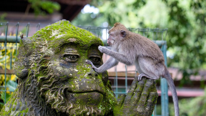 Ilustračná snímka.