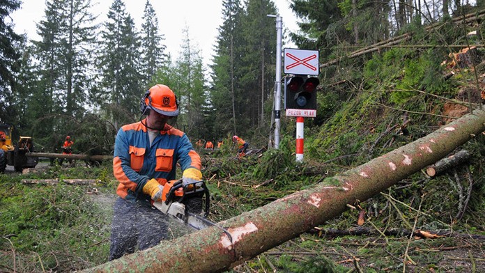 Pilčík píli kmeň stromu počas odstraňovania spadnutých stromv z cesty Slobody neďaleko Vyšných Hágov 