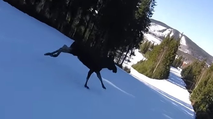 brexit_tvnoviny.3.mp4