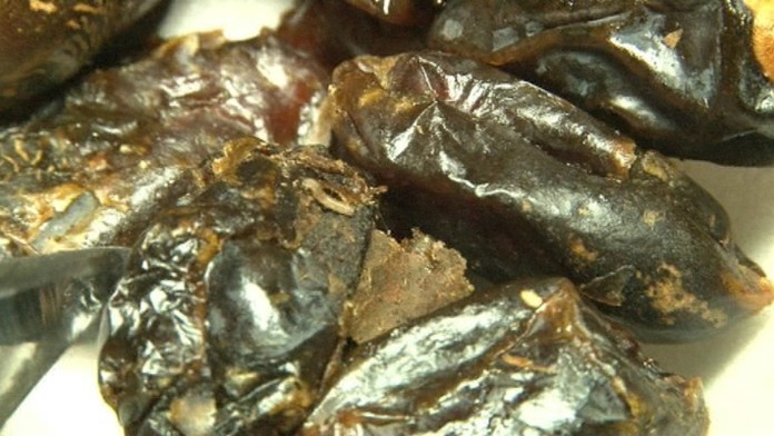 Kúpili datle s červíkmi