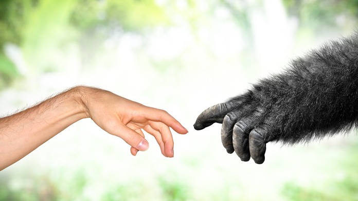 Bowie: Ilustrovaný životopis 