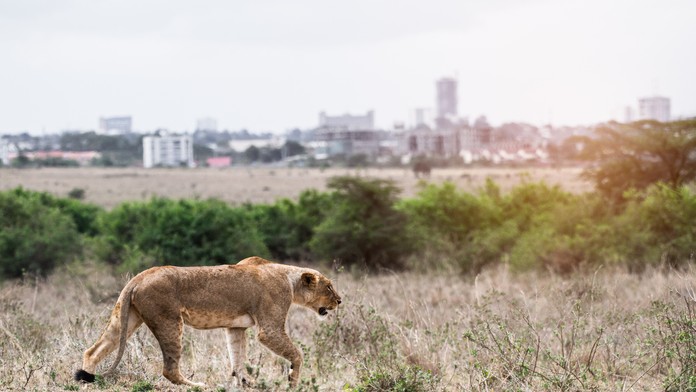 Ilustračná snímka