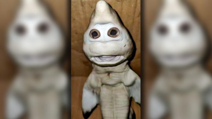 VOYO-more_lasky-0db_bez_wipe.mp4