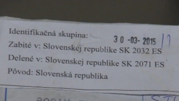 hydinaweb_jpg_bez_watermarku_1.jpg