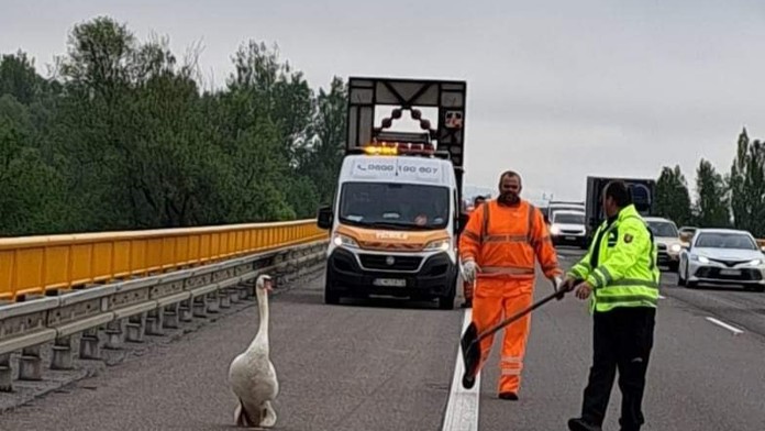 J. Ráž: Diaľničná patrola má po novom právo prednostnej jazdy