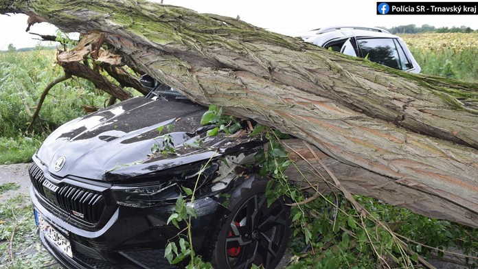 Hrozivá scéna na juhu Slovenska: Na idúce auto padol mohutný strom