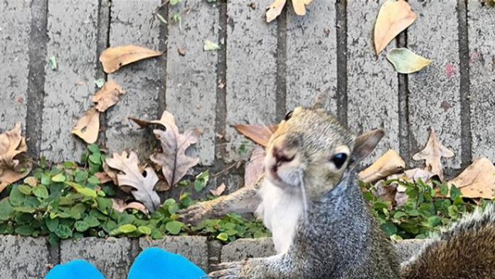Na snímke generálny manažér slovenských hokejových reprezentácií Miroslav Šatan sleduje v hľadisku zápas Nórsko - Slovensko.