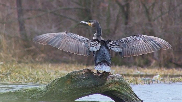 Ilustračná snímka.