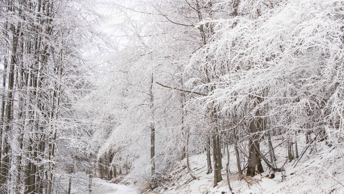 Sneh. Ilustračná snímka.