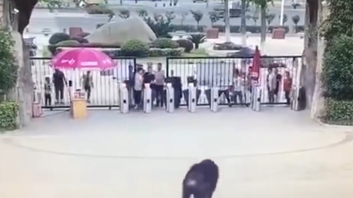 Zatýkanie futbalových fanúšikov po hromadnej bitke na Ventúrskej ulici v centre Bratislavy.