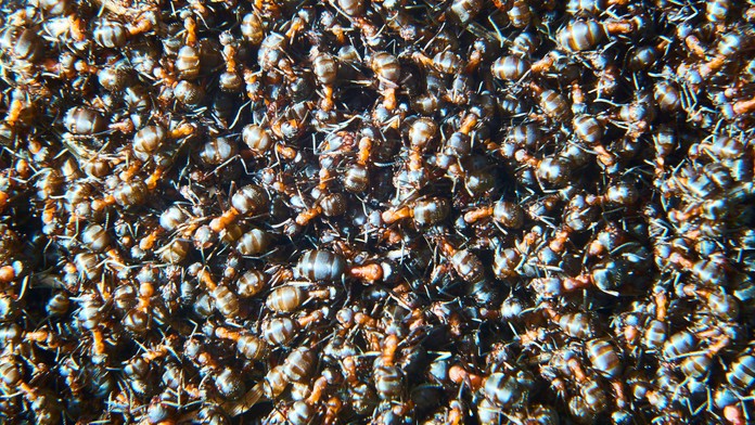 video-1573032428.mp4