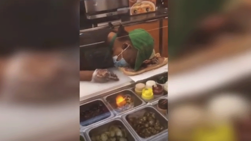 Krokodíl morský a žralok býčí.